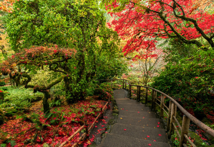 Existential Concerns